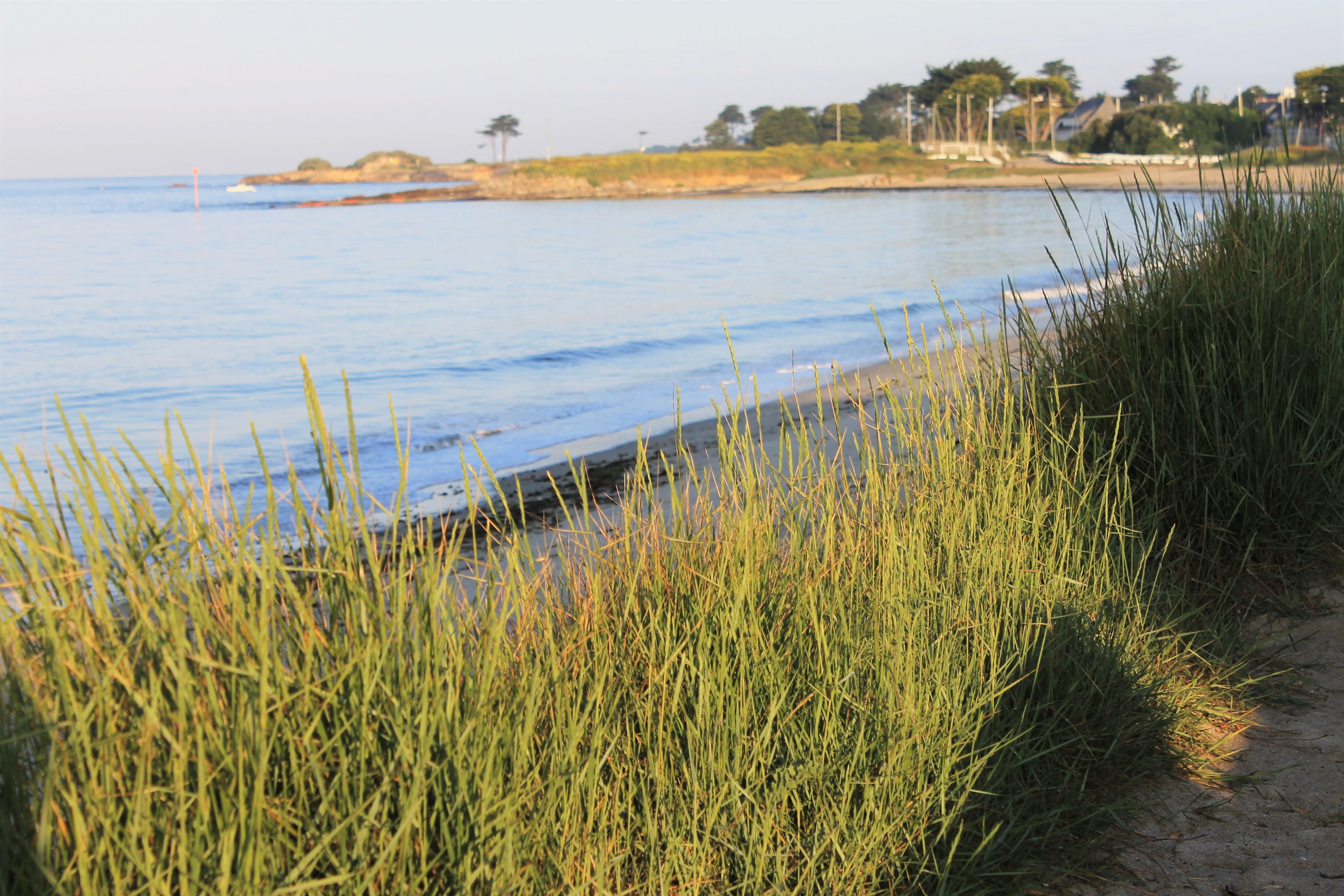 Logis Hotel & Restaurant Les Mouettes - Larmor Plage, Proche De Lorient Zewnętrze zdjęcie