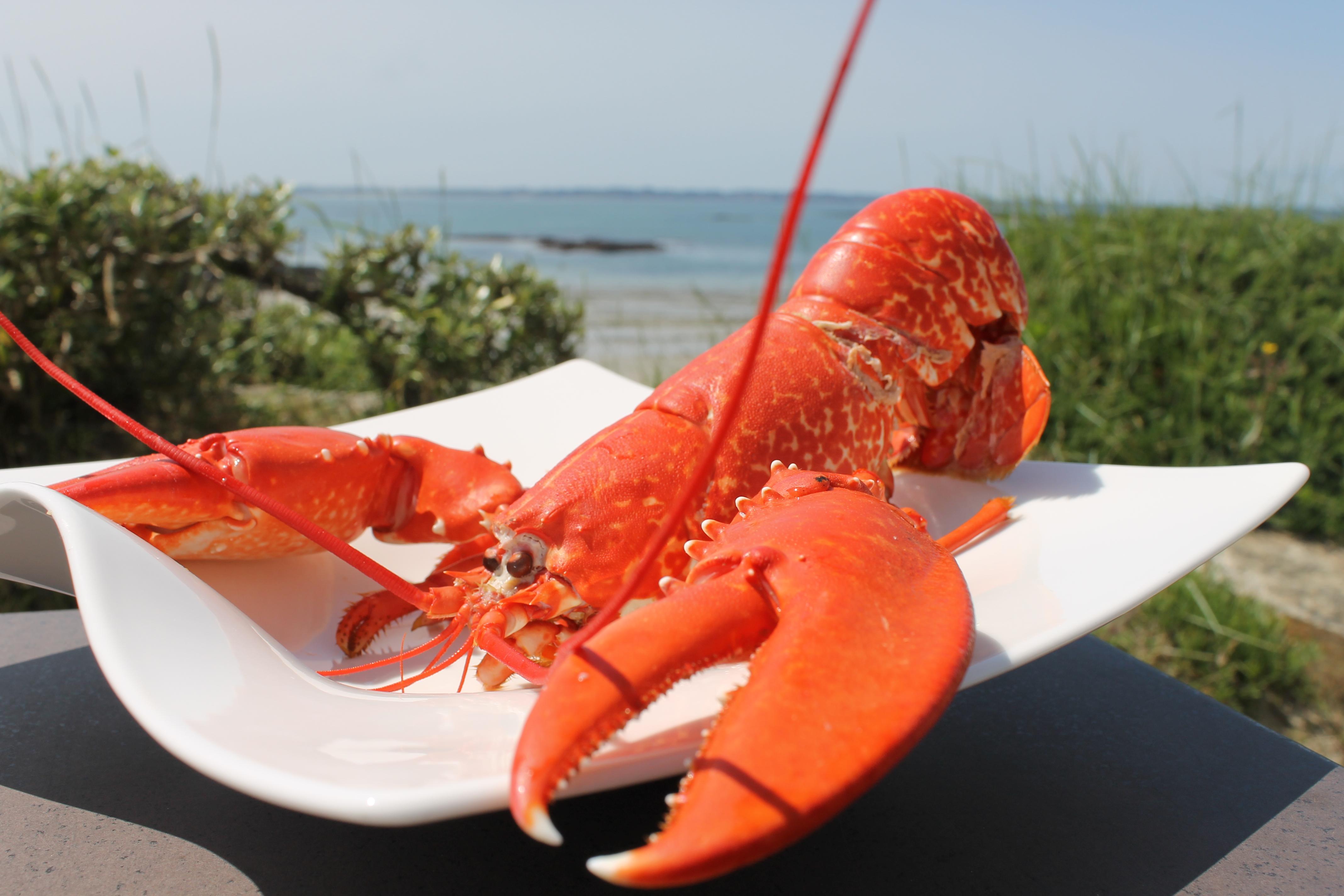 Logis Hotel & Restaurant Les Mouettes - Larmor Plage, Proche De Lorient Zewnętrze zdjęcie