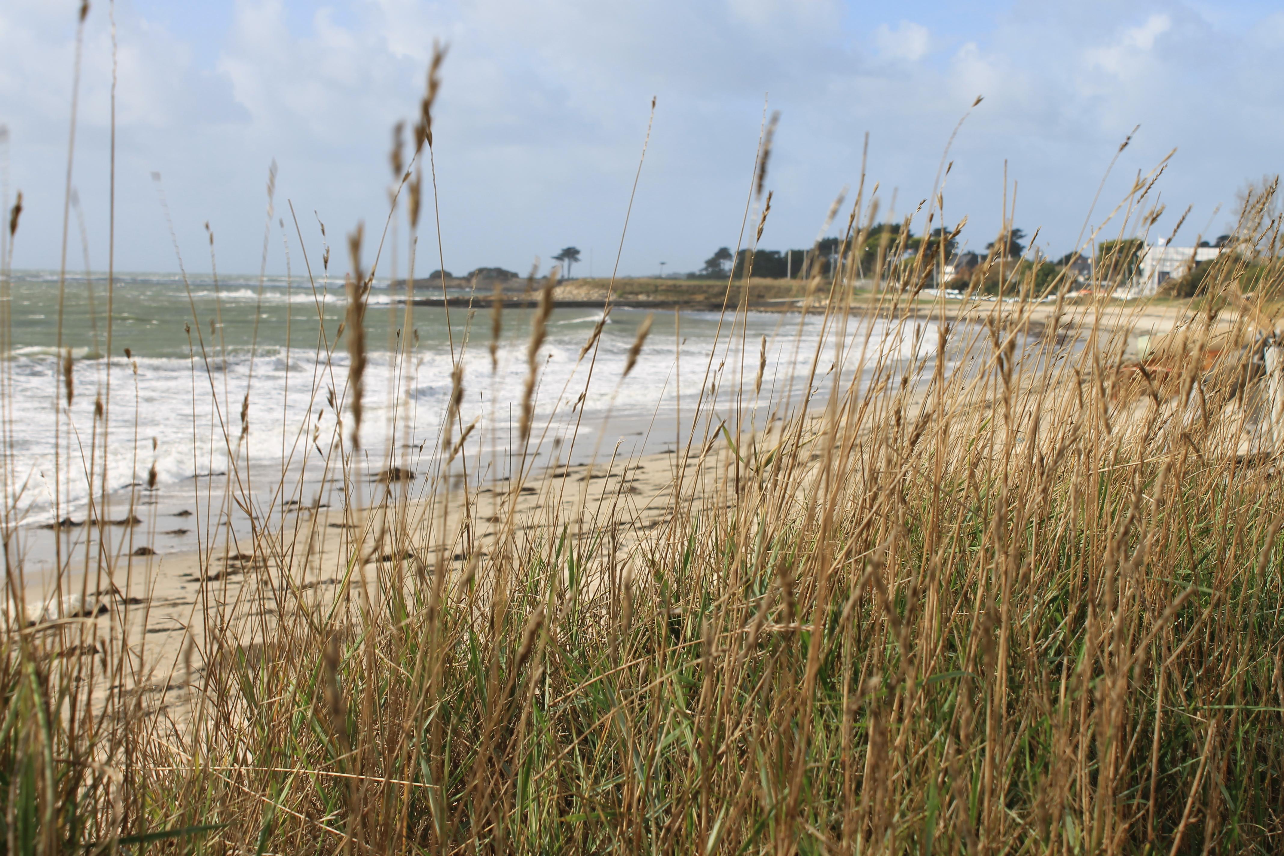 Logis Hotel & Restaurant Les Mouettes - Larmor Plage, Proche De Lorient Zewnętrze zdjęcie